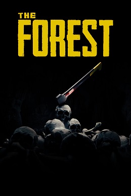 the forest cover