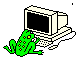 frog sitting at computer
