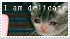 delicate cat stamp